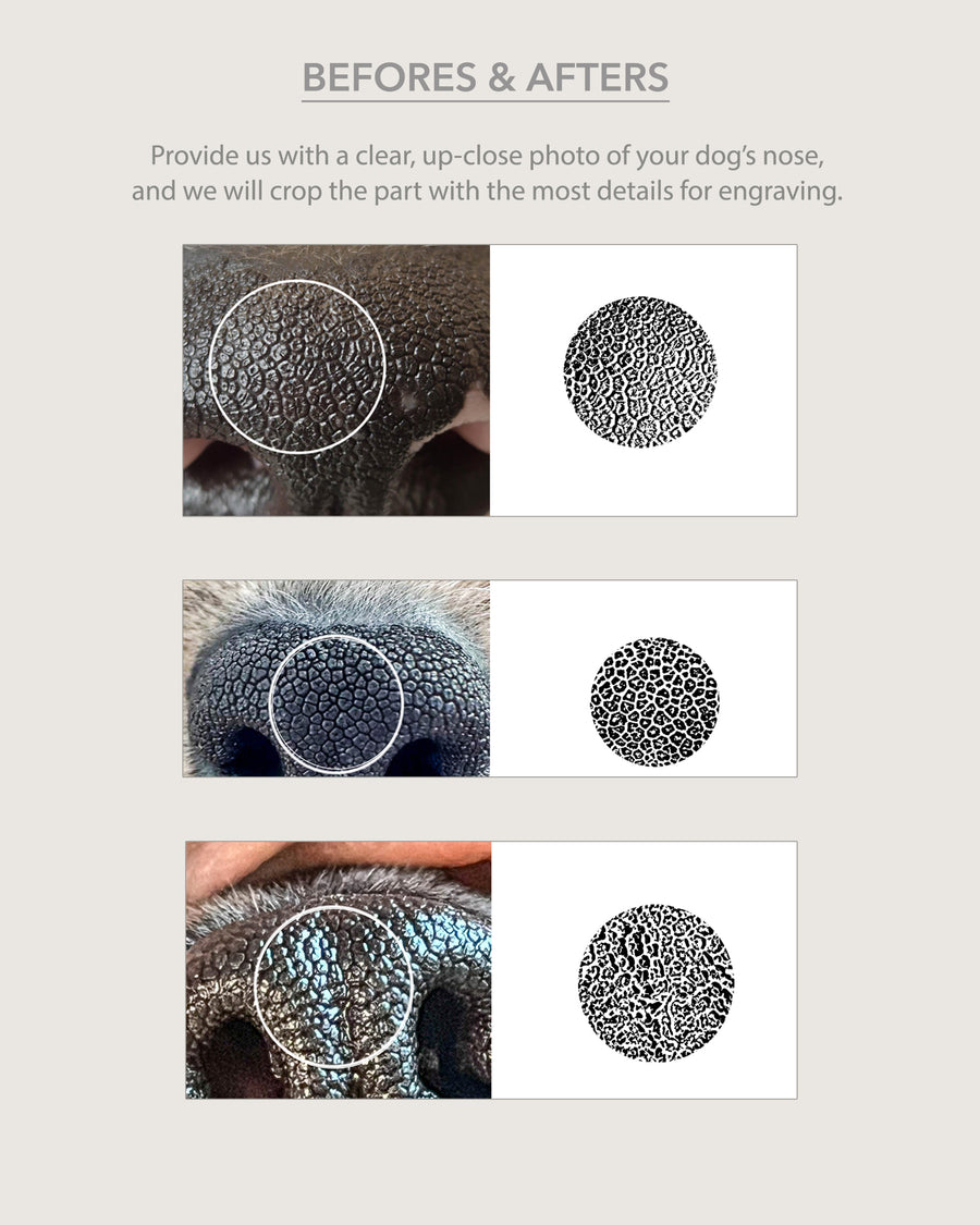 Dog Nose Print Bracelet • Pet Memorial Jewelry.